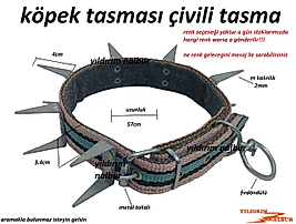 KÖPEK TASMASI HASIR DİKENLİ TASMA KÜÇÜK BOY 57CM ÇİVİLİ TASMA KURTKAPMAZ TASMA
