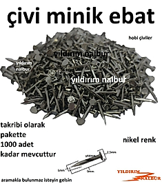 AĞAÇ ÇİVİSİ 9MM 1000 ADET NİKEL RENK HOBİ ÇİVİ MENTEŞE ÇİVİSİ MİNİ TOKA ÇİVİSİ HOBİ ÇİVİ KÜÇÜK