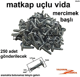 250 ADET MATKAP UÇLU AKILLI VİDA 1,5 CM MERCİMEK BAŞLI VİDA YILDIZ
