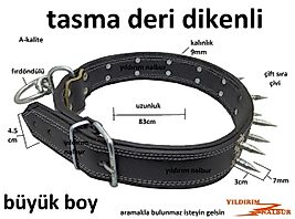 KÖPEK TASMASI BÜYÜK DUBLE BOY 83 CM DERİ KALİTELİ ÇOBAN KANGAL TASMA