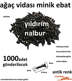 AĞAÇ VİDASI MİNİ ANTİK RENK 1000 ADET ESKİTME MİNİK VİDA KUTU KİLİDİ HOBİ VİDASI