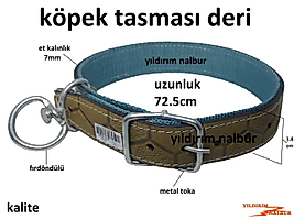 KÖPEK TASMASI DERİ KALIN KANGAL TASMA BATTAL BOY KEMER