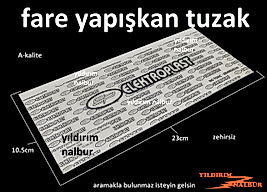 FARE YAPIŞKANI FARE KAPANI YAPIŞKAN KAĞIT TUZAK KALİTE ZEHİRSİZ DÜZ KAĞIT