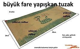 FARE YAPIŞKANI BÜYÜK DUBLE BOY KAPAN KEME SIÇAN TUZAK YILAN YAPIŞKAN TUZAK KALİTE