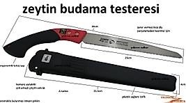 ZEYTİN AĞACI BUDAMA TESTERESİ KÜÇÜK BOY ZEYTİN KESME İNCE DİŞ TESTERE ÇITA TESTERE