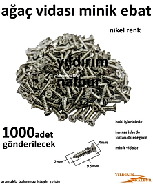 AĞAÇ VİDASI NİKEL RENK HOBİ VİDASI 1000 ADET MİNİK KUTU VİDASI