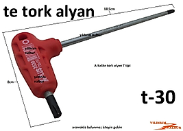 TORK ALYAN TE TİPİ T-30 YILDIZ ALYAN 6 KÖŞE TE TİPİ TORK ANAHTAR