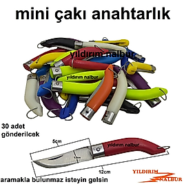 30 ADET MİNİ CEP ÇAKISI HOBİ ÇAKI RENKLİ ANAHTARLIK ÇAKISI BIÇAK