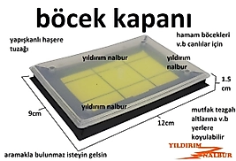 BÖCEK KAPANI HAMAM BÖCEĞİ HAŞERE YAPIŞKAN KAPAN KAPAKL