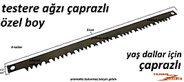 KOLASTAR TESTERE AĞZI 31CM ÇAPRAZLI TESTERE ODUN KESME BIÇKI AĞIZ ÇAPRAZ AĞIZ ODUN KESME TESTERE ÖZE