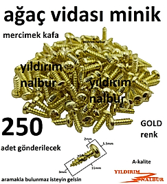 MERCİMEK BAŞLI AĞAÇ VİDASI 250 ADET MİNİ SARI ALTIN RENK HOBİ VİDA KÜÇÜK BOY AHŞAP VİDASI TOP BAŞLI