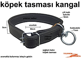 KÖPEK KANGAL TASMASI KALIN HAYVAN TASMASI HALKALI KÖPEK ZİNCİRİ